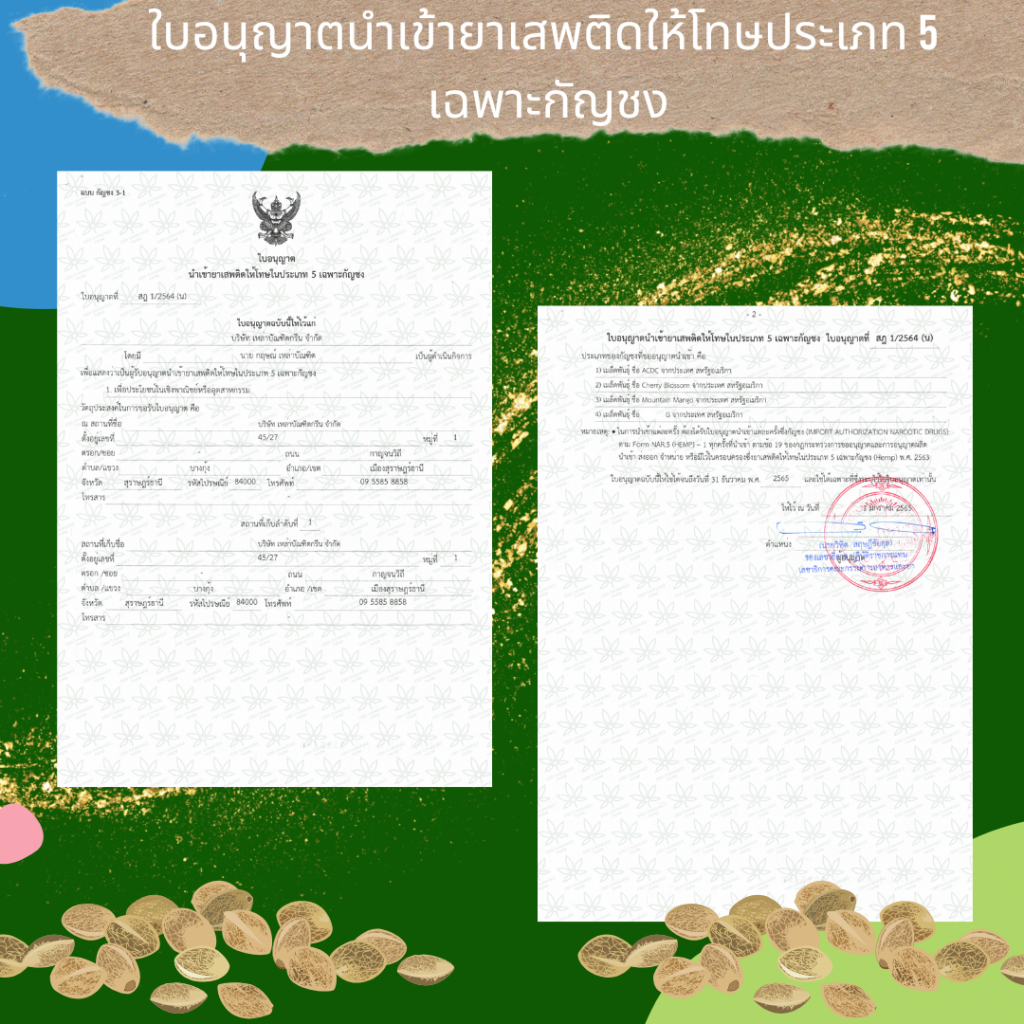 ใบอนุญาต