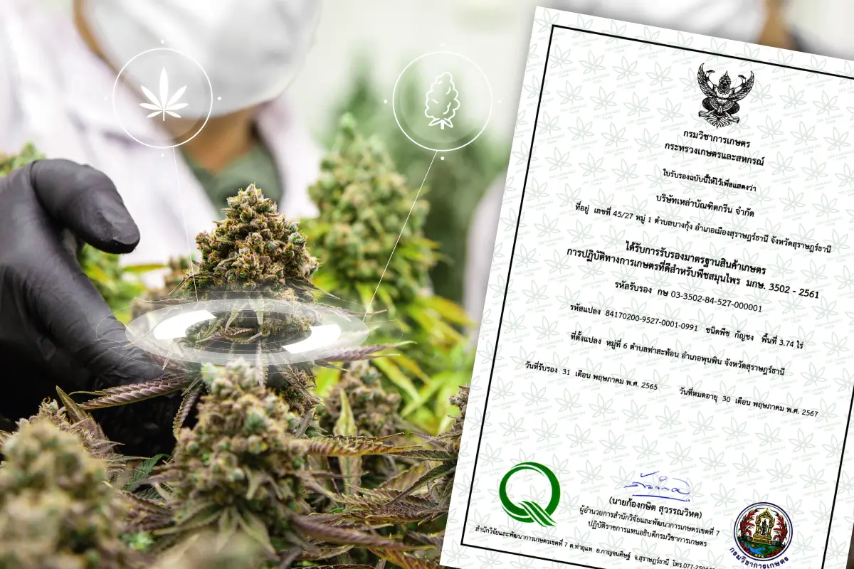 ระบบปลูกปลอดภัย