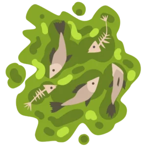 สารเคมีปนเปื้อนในอาหาร