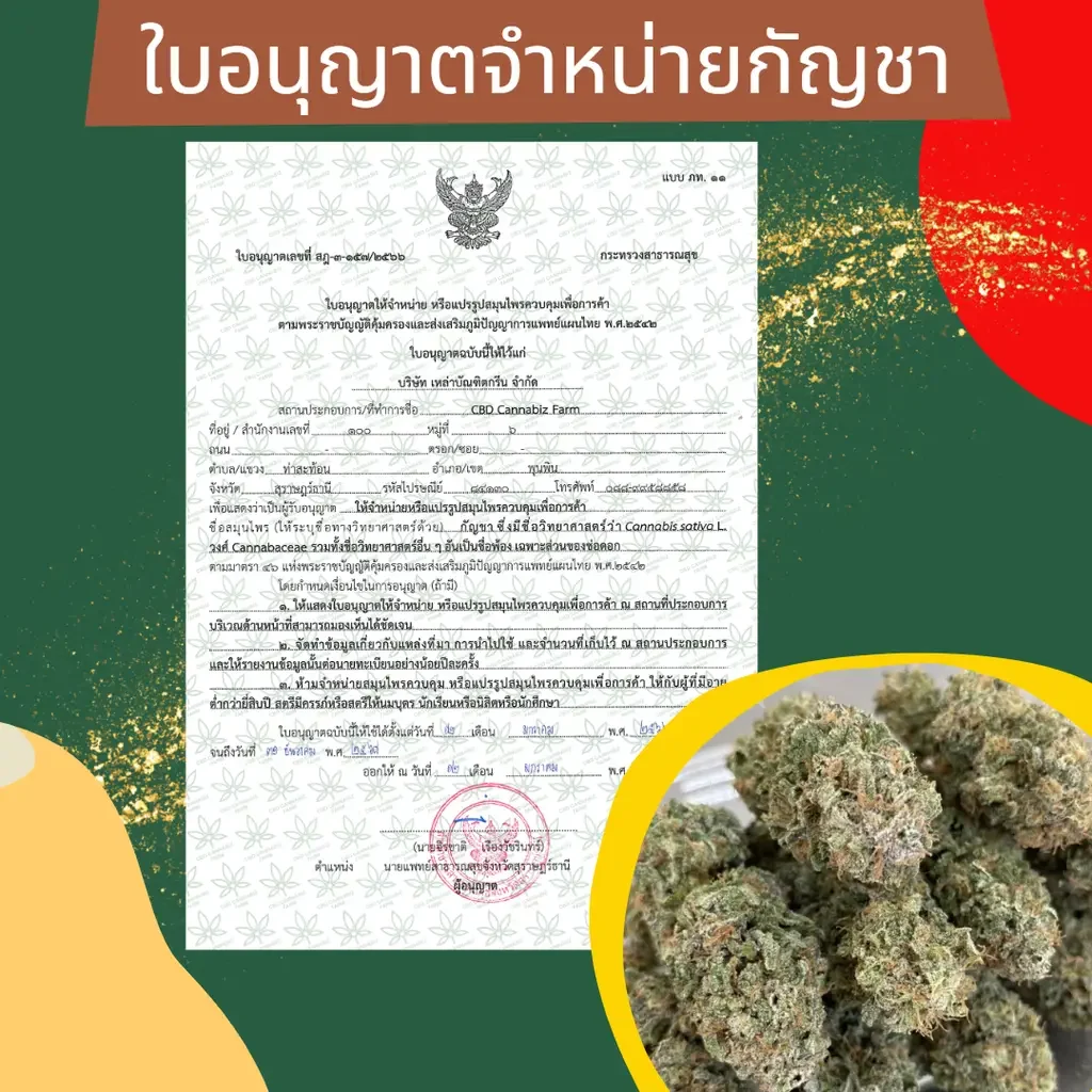 ใบอนุญาตจำหน่ายกัญชา