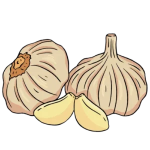 กระเทียม