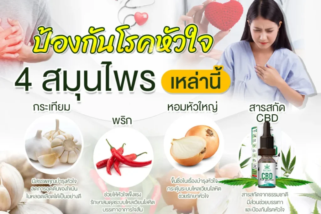 ป้องกันโรคหัวใจด้วยสมุนไพรเหล่านี้