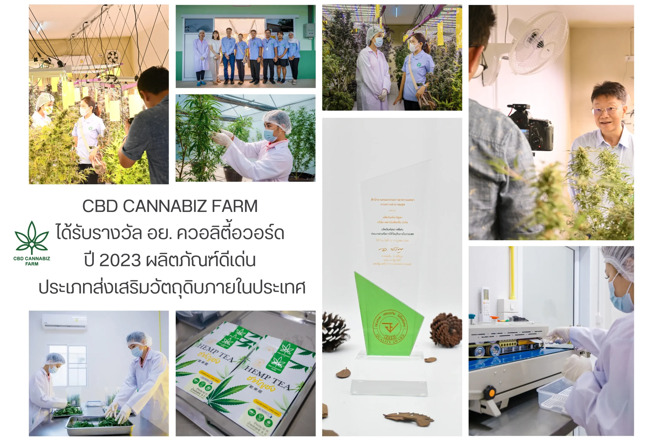 CBD cannabiz farm ได้รับรางวัล อย.