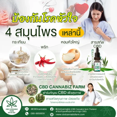 4 สมุนไพร ป้องกันโรคหัวใจ