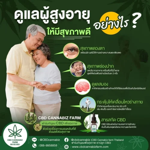 วิธีดูเเลผู้สูงอายุให้มีสุขภาพดี เเข็งเเรง
